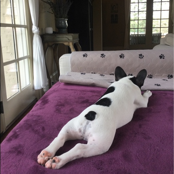 Meet your Posher, Dani ๐พ - Picture 3 of 16